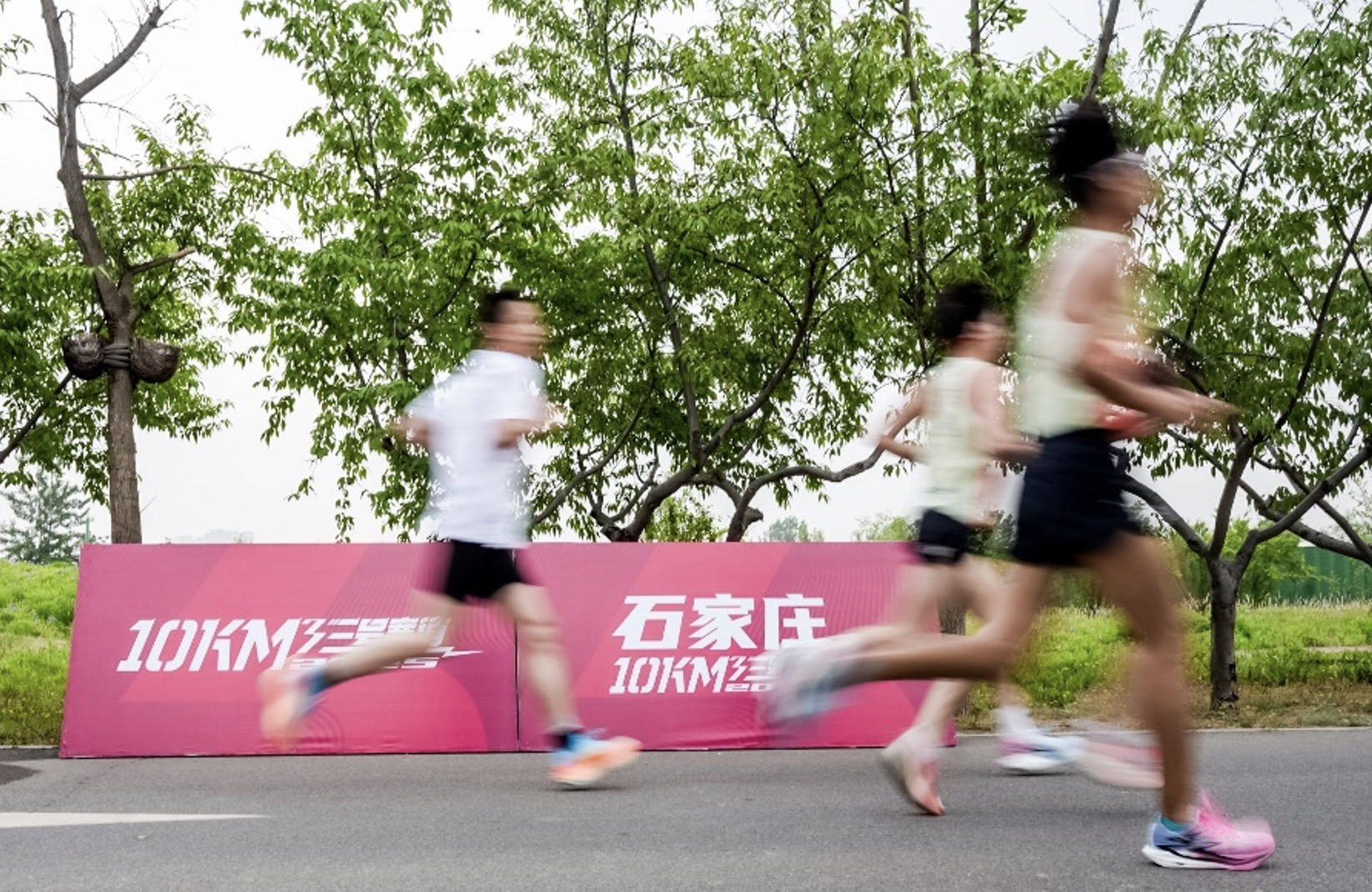 注碳训练跑鞋：开启全动装备新体验361° 超品首发千行 10(图4)
